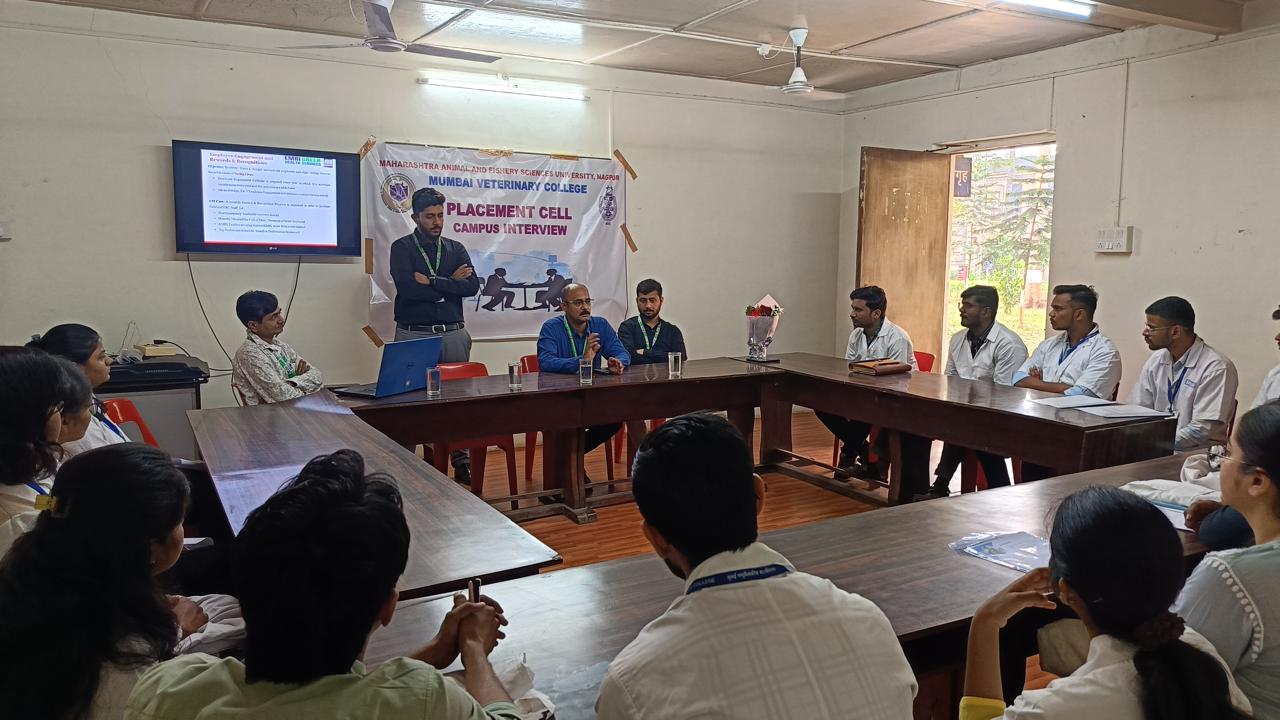 placement cell (1)